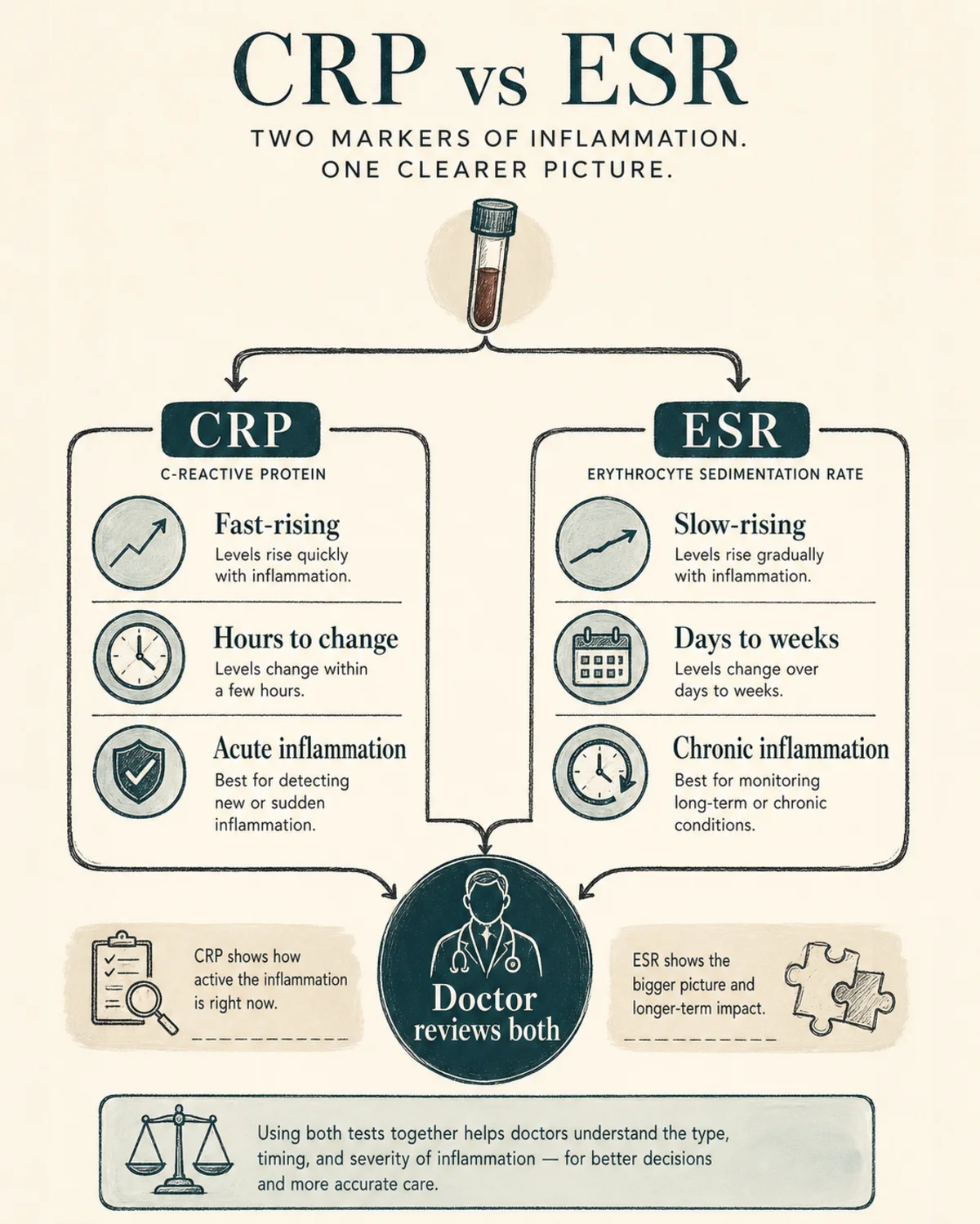 Decision-tree infographic comparing CRP and ESR blood tests: two branches labeled CRP (fast-rising, hours to change, acute) and ESR (slow-rising, days to weeks, chronic), meeting at a shared "doctor reviews both" node. Charcoal hand-drawn linework, deep teal accent, legible labels