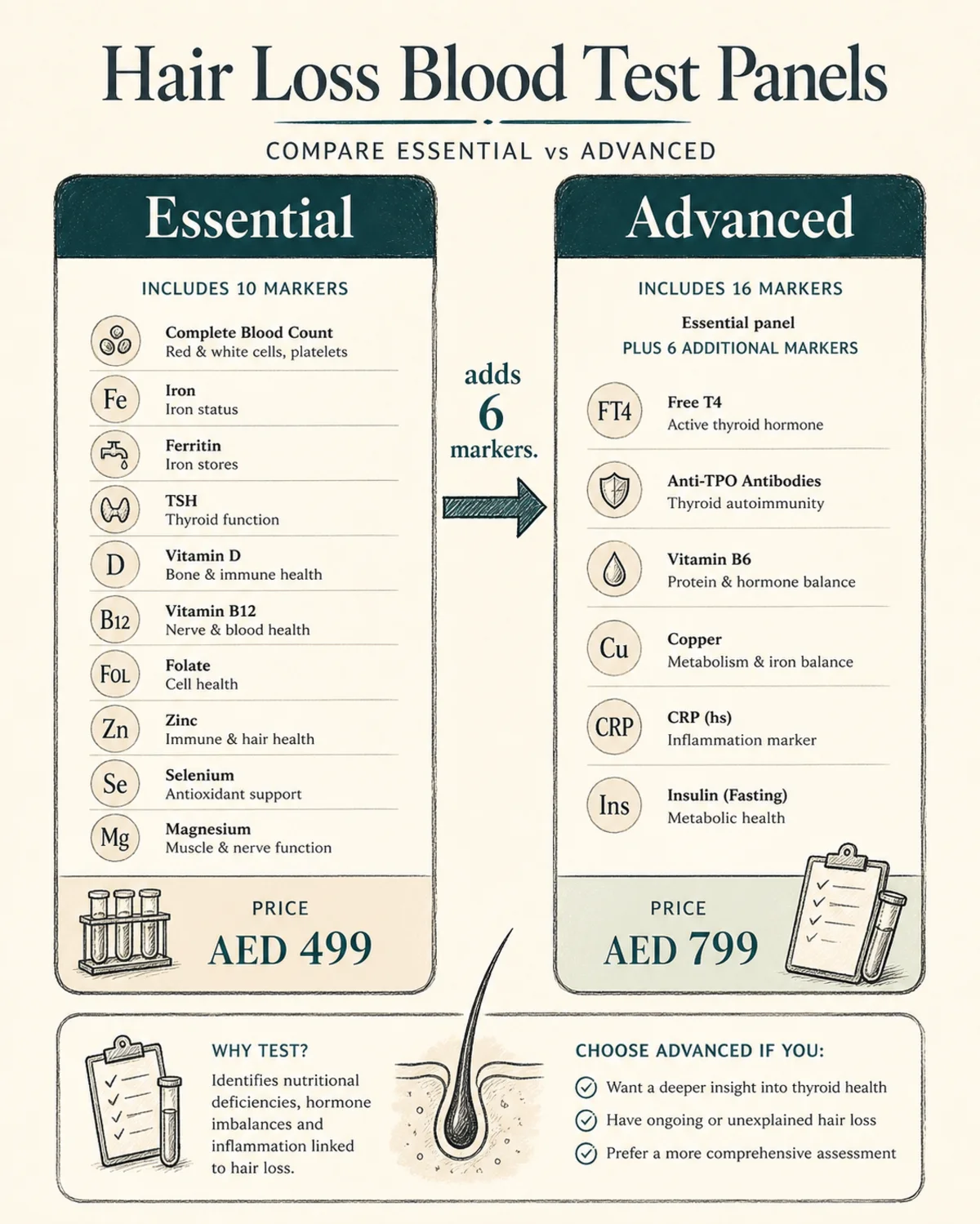 Comparison of BestDOC's Essential vs Advanced Hair Loss Blood Test panels: two columns showing what each includes and price, with an arrow from Essential to Advanced labeled "adds 6 markers." Charcoal hand-drawn linework, deep teal accent, legible labels