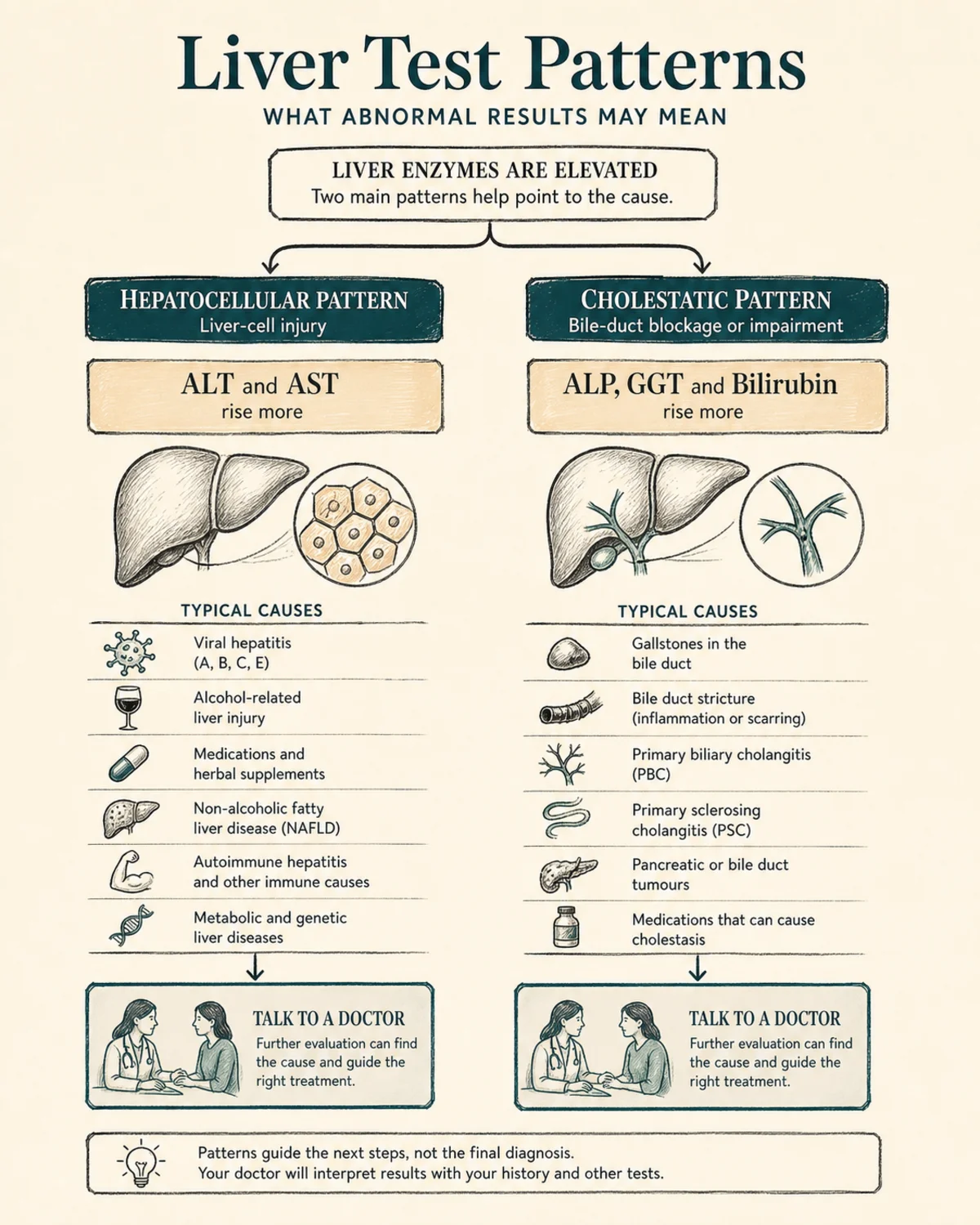 Two-branch comparison diagram: hepatocellular pattern (ALT and AST rise more, liver-cell causes) vs cholestatic pattern (ALP, GGT and bilirubin rise more, bile-duct causes), each branch listing typical causes and a "talk to a doctor" endpoint, charcoal hand-drawn linework, deep teal accent, legible labels