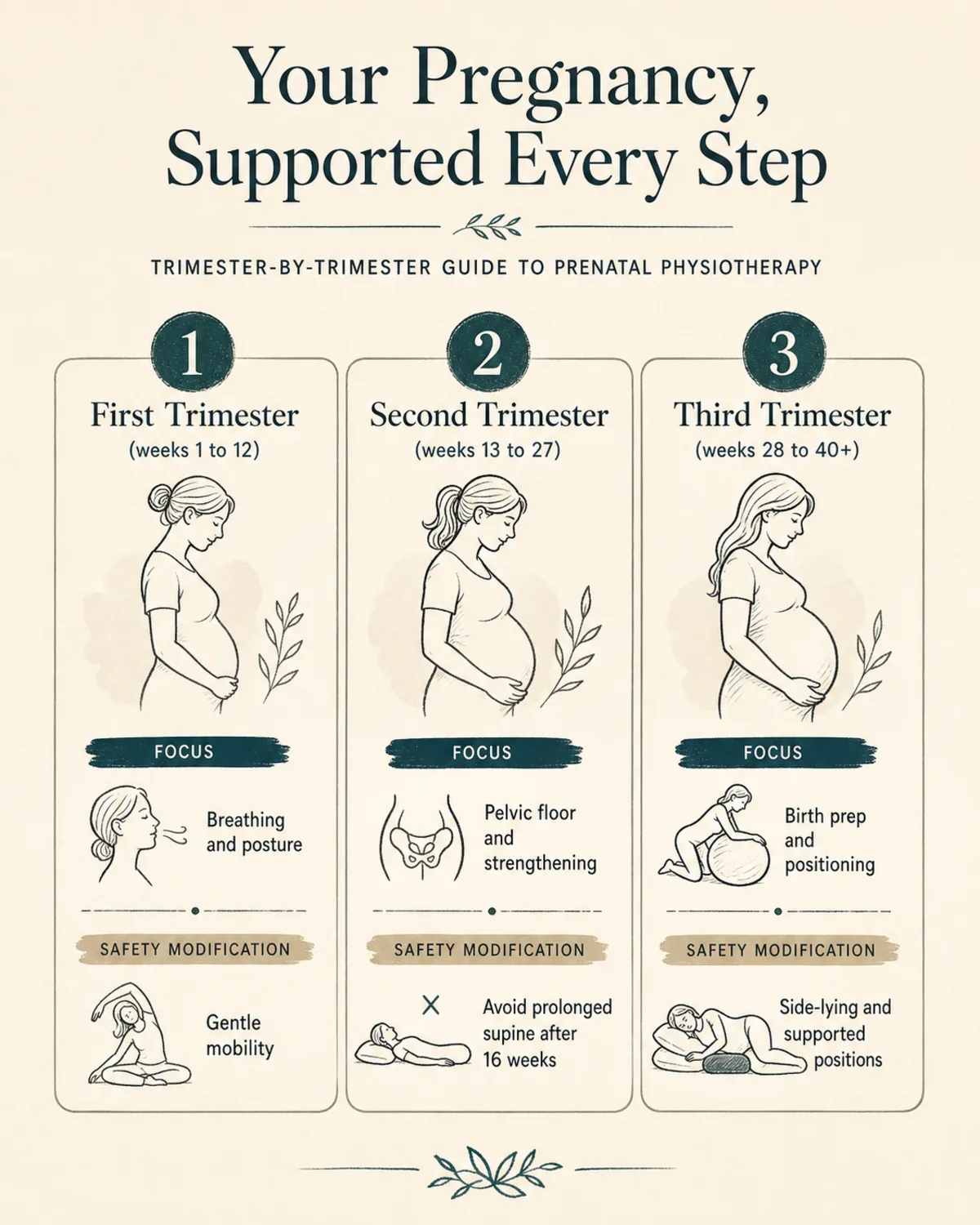 Trimester-by-trimester guide to prenatal physiotherapy: three numbered columns labelled First Trimester (weeks 1 to 12), Second Trimester (weeks 13 to 27), Third Trimester (weeks 28 to 40+). Each column lists one focus (breathing and posture; pelvic floor and strengthening; birth prep and positioning) and one safety modification (gentle mobility; avoid prolonged supine after 16 weeks; side-lying and supported positions). Hand-drawn linework, charcoal lines on warm bone background, deep teal accent