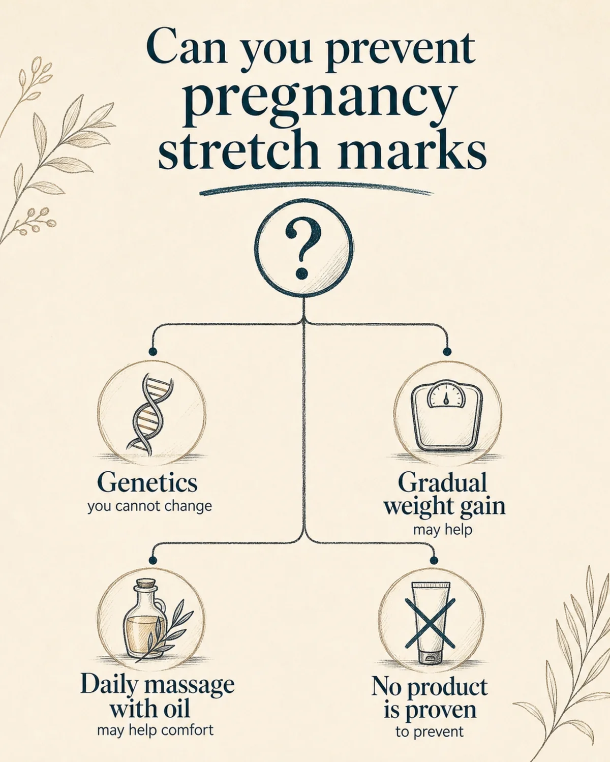 Decision-tree infographic titled Can you prevent pregnancy stretch marks, four labelled branches reading Genetics you cannot change, Gradual weight gain may help, Daily massage with oil may help comfort, No product is proven to prevent, charcoal hand-drawn linework on bone background with deep teal accent